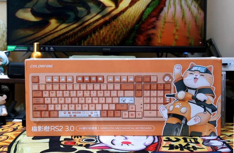 客制化+潮性橘猫，七彩虹橘宝键盘分享