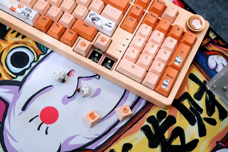 客制化+潮性橘猫，七彩虹橘宝键盘分享