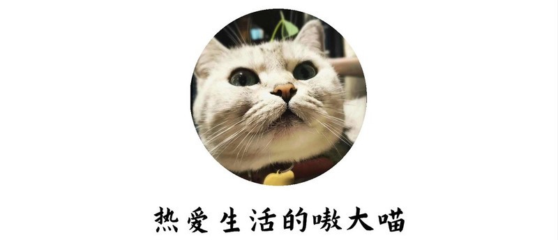 紫米IPhone15充电宝，小体积自带线，出行备一个真6，谁懂？