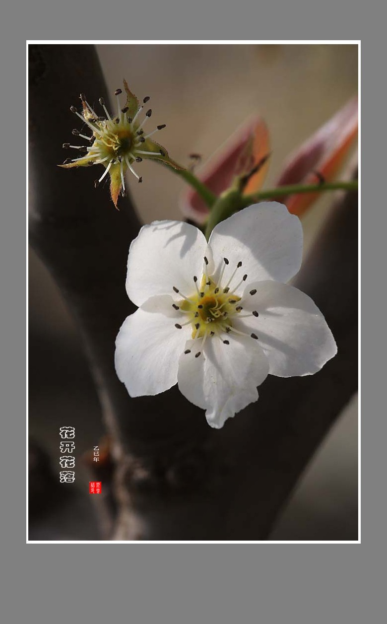《每日欣赏》！！！