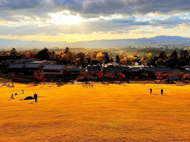 枫叶红了的时候---手机拍摄