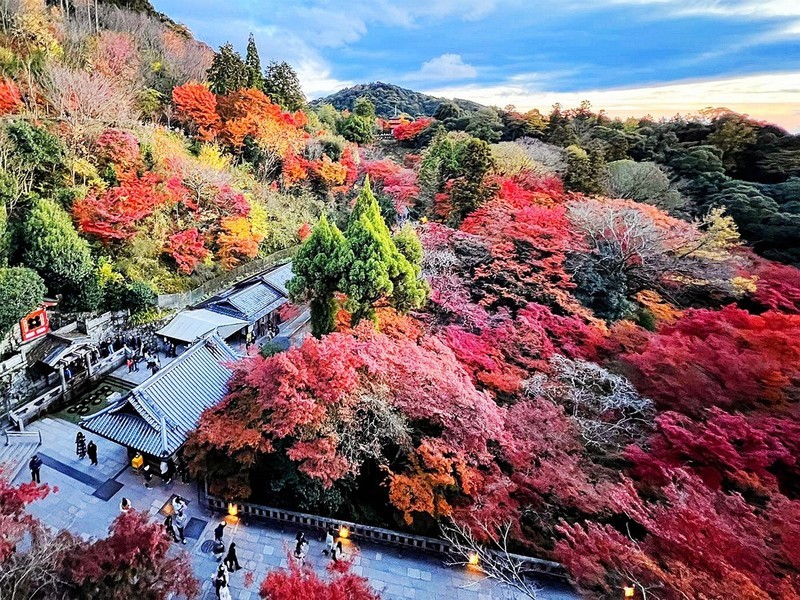 枫叶红了的时候---手机拍摄