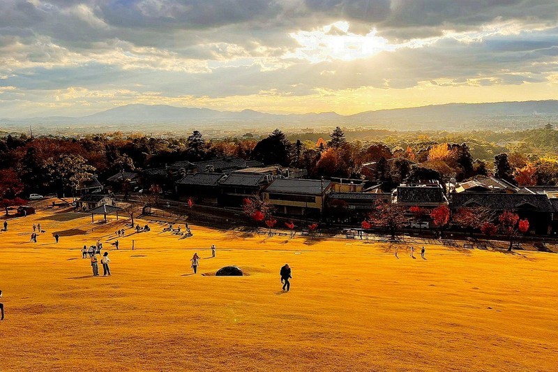 枫叶红了的时候---手机拍摄