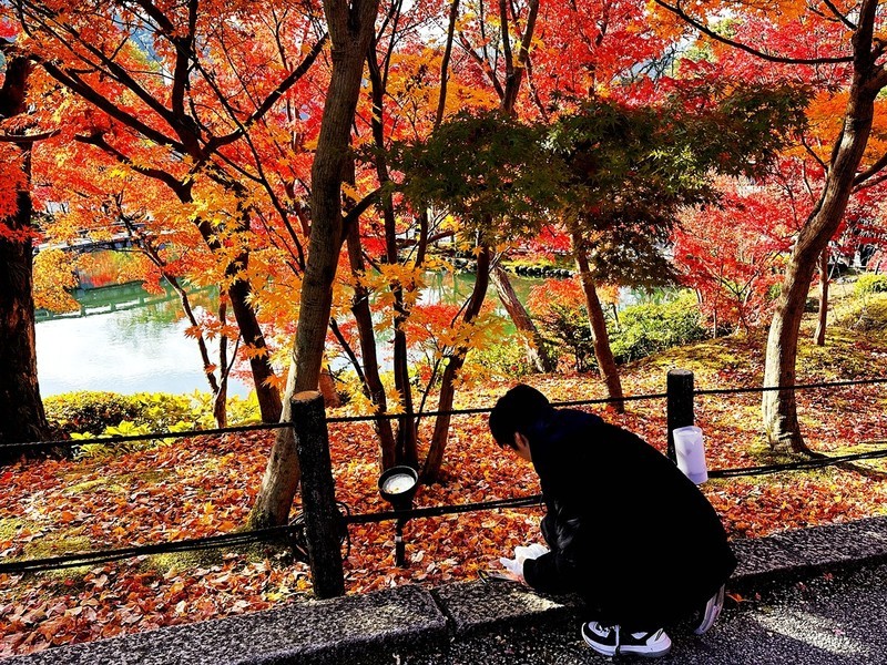 枫叶红了的时候---手机拍摄