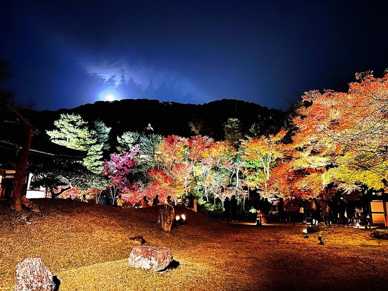 枫叶红了的时候---手机拍摄