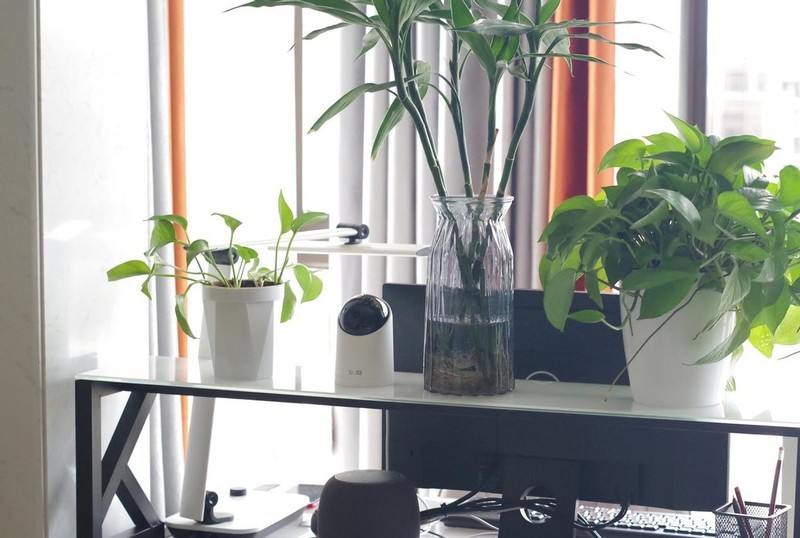 看家护院影院级画质，海雀摄像头S 3K版引领智能监控新体验