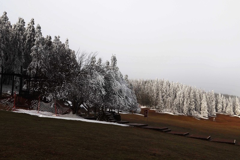 游览重庆仙女山国家森林公园（二）