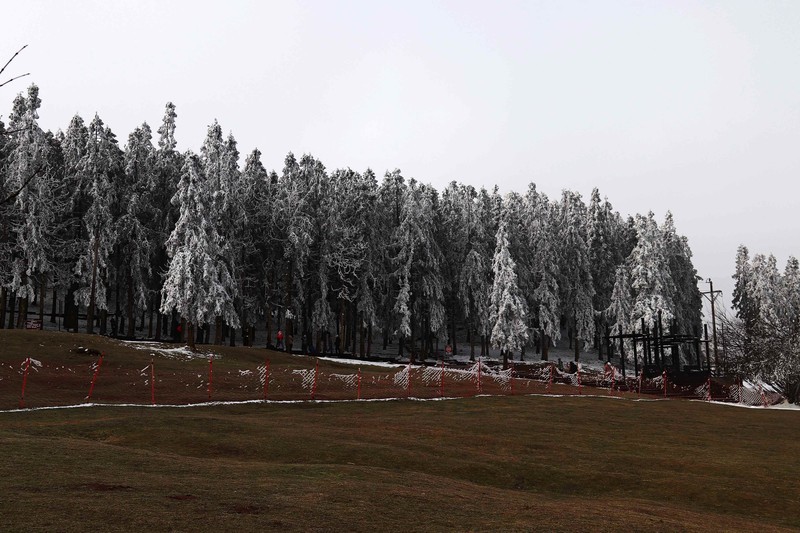 游览重庆仙女山国家森林公园（二）