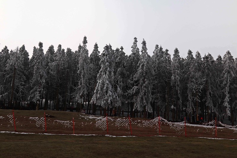 游览重庆仙女山国家森林公园（二）