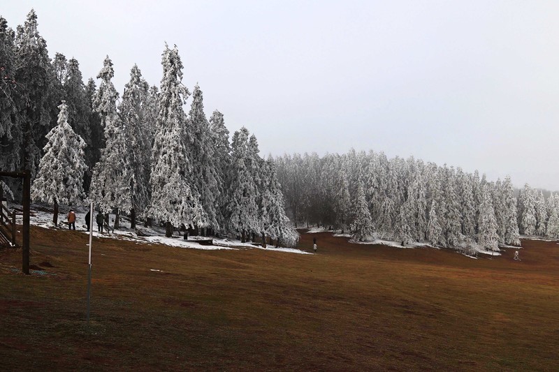 游览重庆仙女山国家森林公园（二）