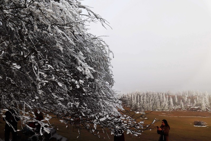 游览重庆仙女山国家森林公园（二）