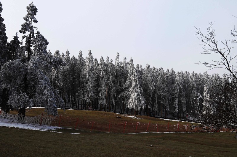 游览重庆仙女山国家森林公园（二）