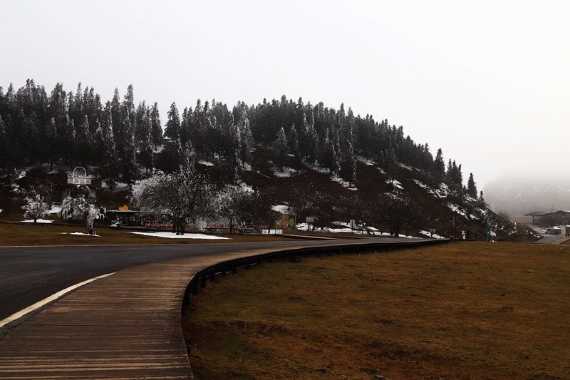 游览重庆仙女山国家森林公园（三）