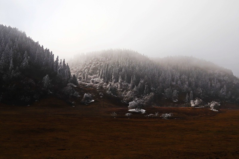 游览重庆仙女山国家森林公园（三）