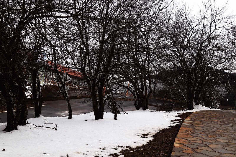 游览重庆仙女山国家森林公园（三）