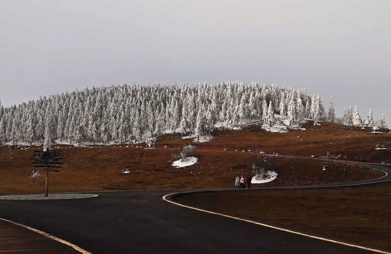 游览重庆仙女山国家森林公园（三）