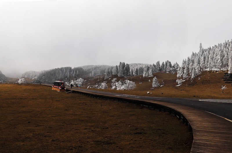 游览重庆仙女山国家森林公园（三）