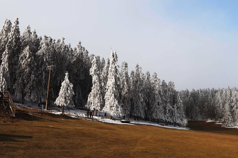 游览重庆仙女山国家森林公园（二）