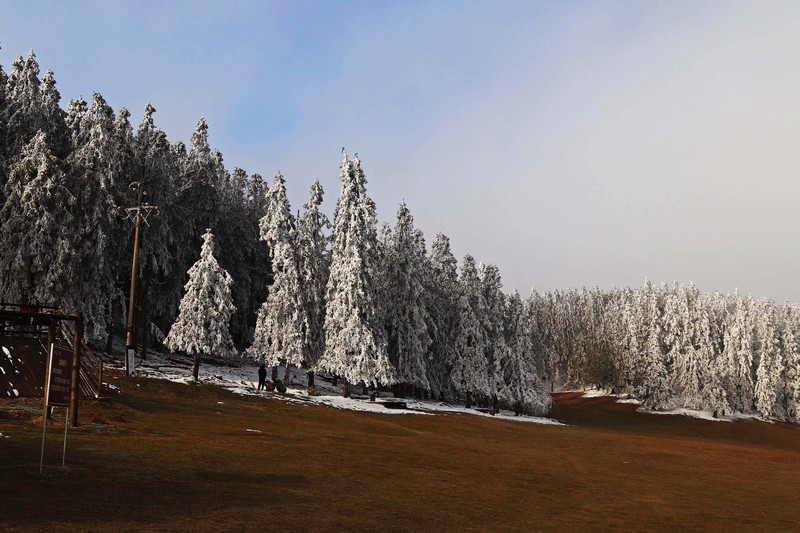 游览重庆仙女山国家森林公园（二）