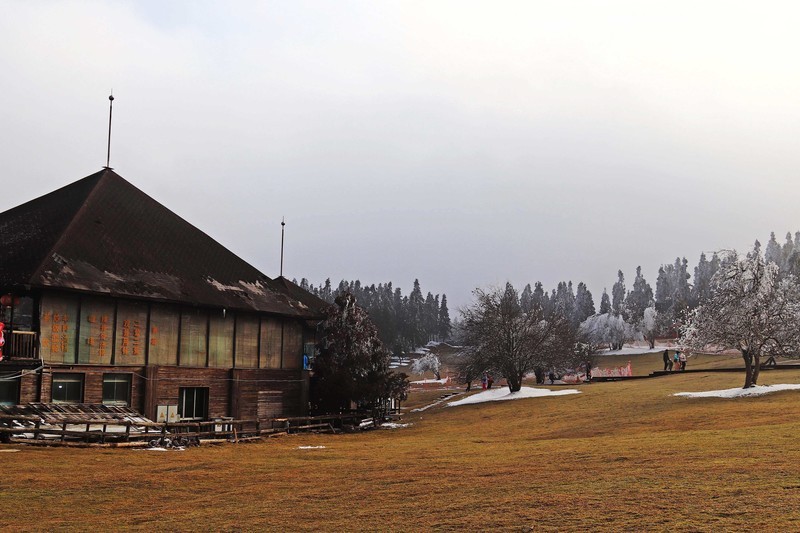 游览重庆仙女山国家森林公园（二）