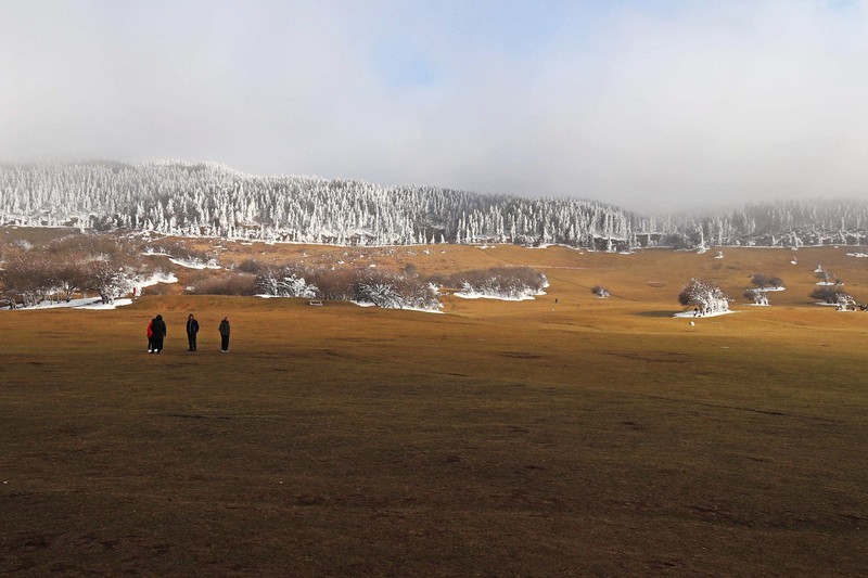 游览重庆仙女山国家森林公园（二）