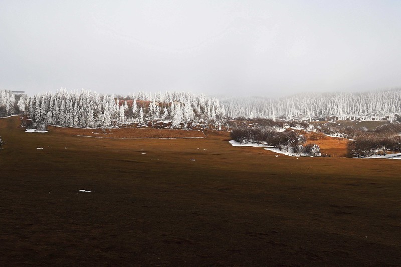 游览重庆仙女山国家森林公园（二）