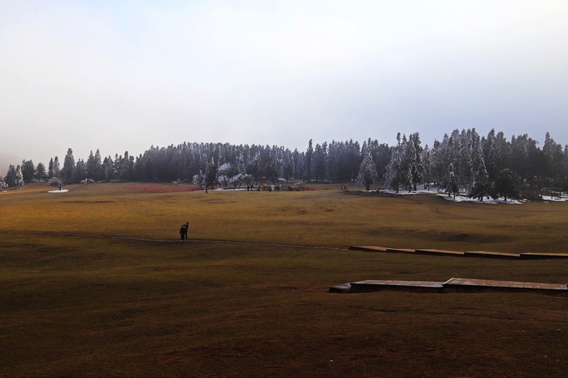 游览重庆仙女山国家森林公园（二）