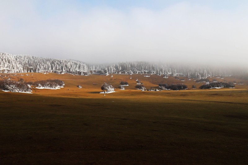 游览重庆仙女山国家森林公园（二）