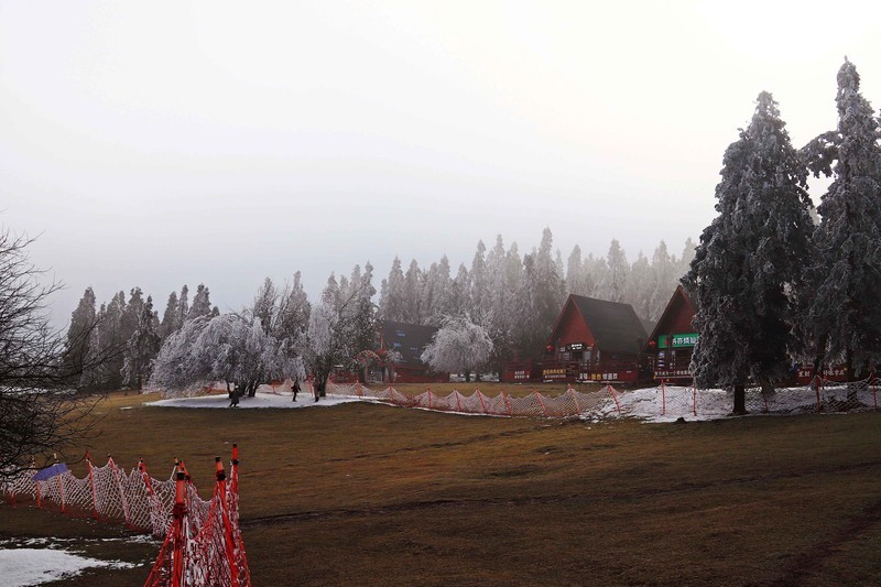 游览重庆仙女山国家森林公园（二）