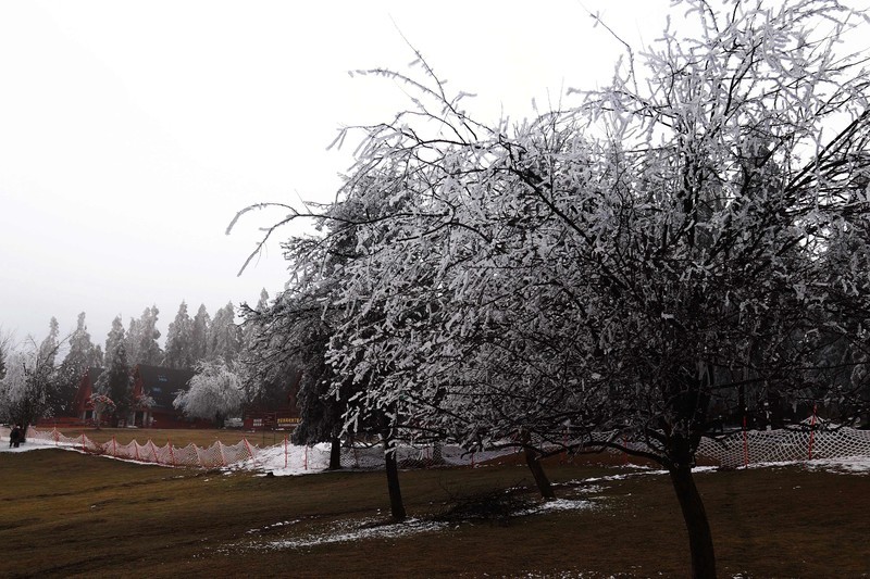 游览重庆仙女山国家森林公园（二）