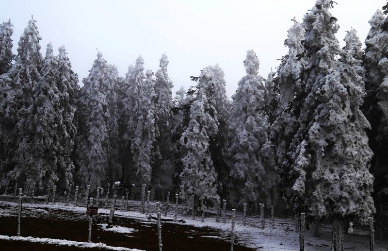 游览重庆仙女山国家森林公园（二）