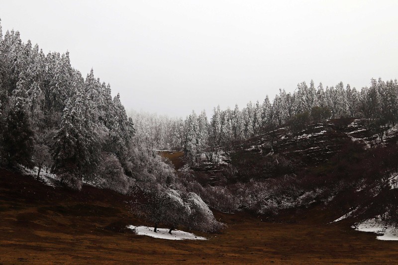 游览重庆仙女山国家森林公园（二）
