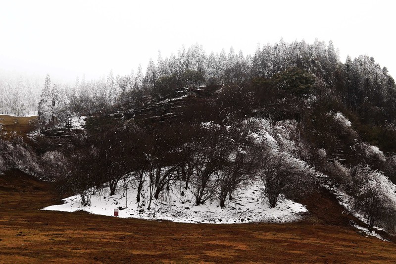 游览重庆仙女山国家森林公园（二）