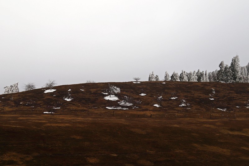 游览重庆仙女山国家森林公园（二）
