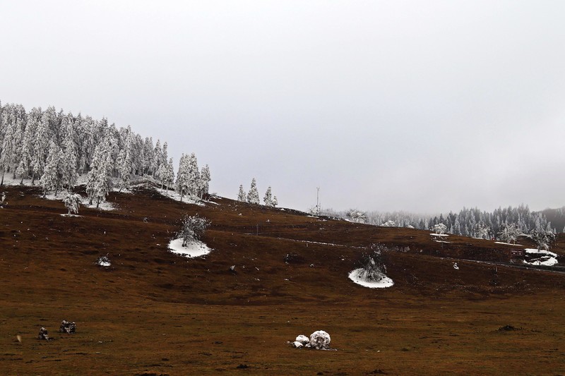 游览重庆仙女山国家森林公园（二）