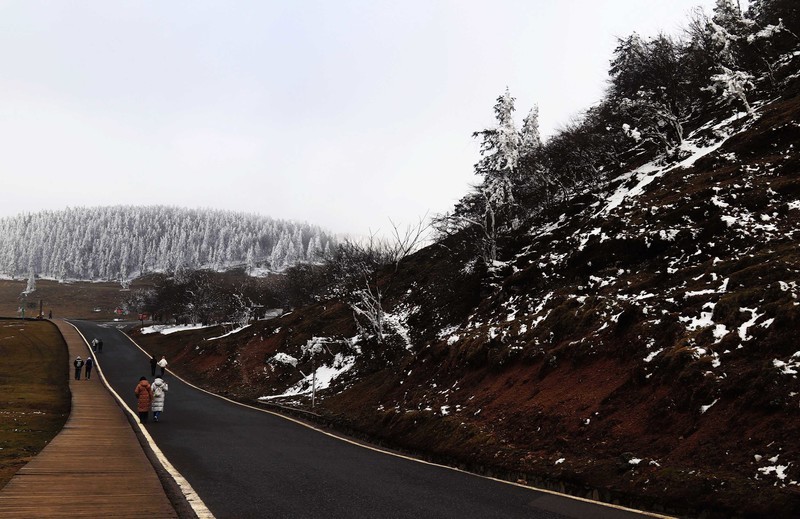 游览重庆仙女山国家森林公园（二）