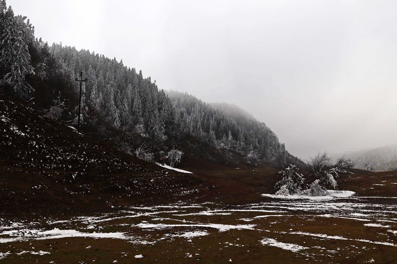 游览重庆仙女山国家森林公园（二）