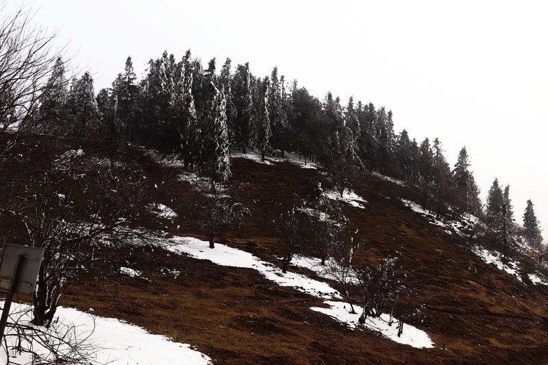 游览重庆仙女山国家森林公园（三）