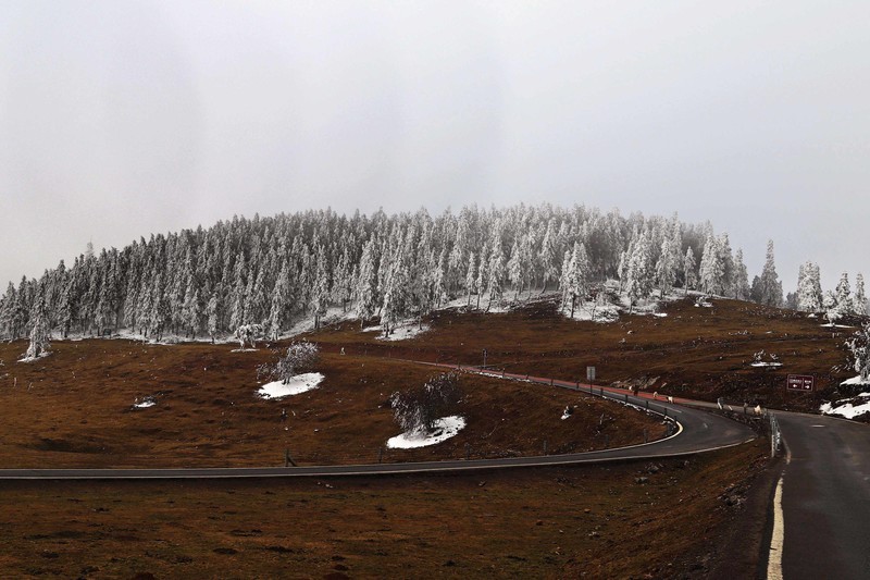 游览重庆仙女山国家森林公园（三）