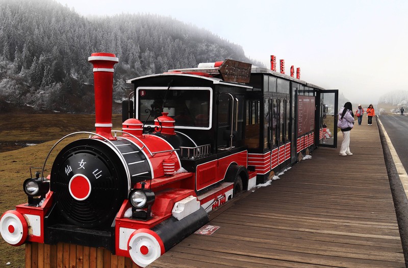 游览重庆仙女山国家森林公园（三）