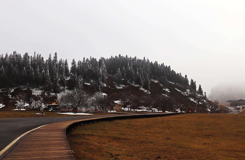 游览重庆仙女山国家森林公园（三）