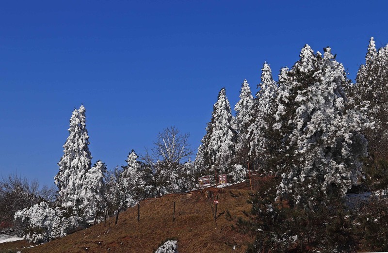 游览重庆仙女山国家森林公园（三）