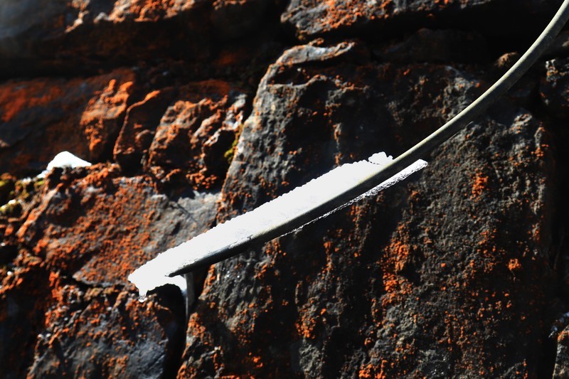 游览重庆仙女山国家森林公园（三）