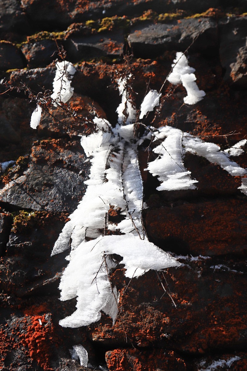 游览重庆仙女山国家森林公园（三）