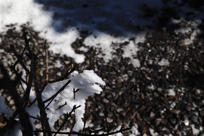 游览重庆仙女山国家森林公园（三）