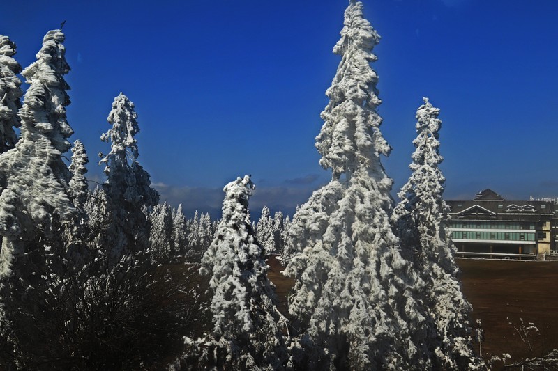游览重庆仙女山国家森林公园（三）