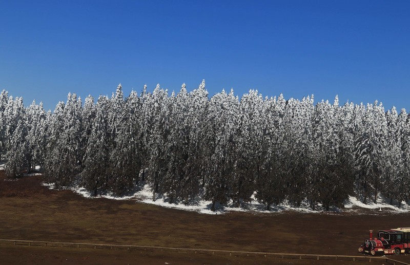 游览重庆仙女山国家森林公园（三）