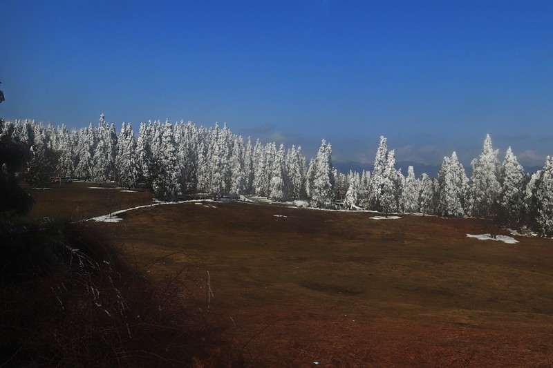 游览重庆仙女山国家森林公园（三）