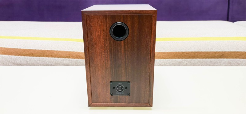 千元以下唯一拥有等磁场带式高音的惠威D100音箱，能不能听个响？