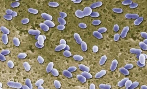 全自动内衣洗衣机十大排名：十大顶尖热销内衣洗衣机品牌汇总！